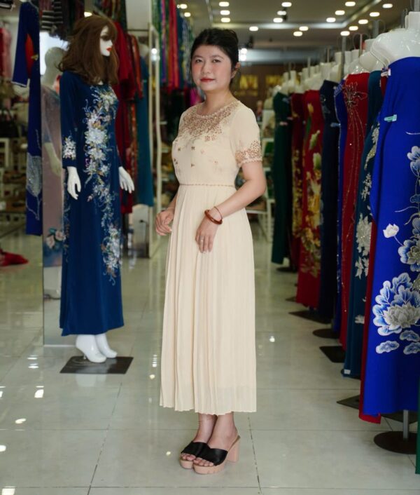 Đầm dự tiệc vol kem thêu hoa - Ảnh 2