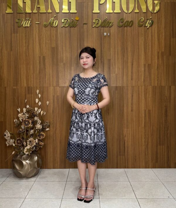 Đầm Ren Cao Cấp TBA000011